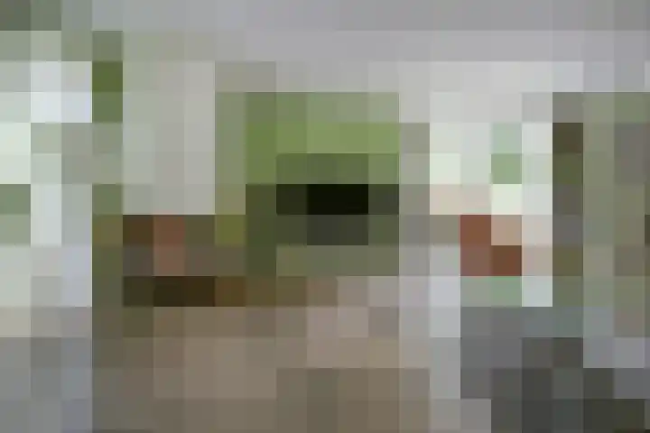 Akkerstraat 3 C Herpt thumbnail 5