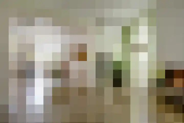 Akkerstraat 3 C Herpt thumbnail 8