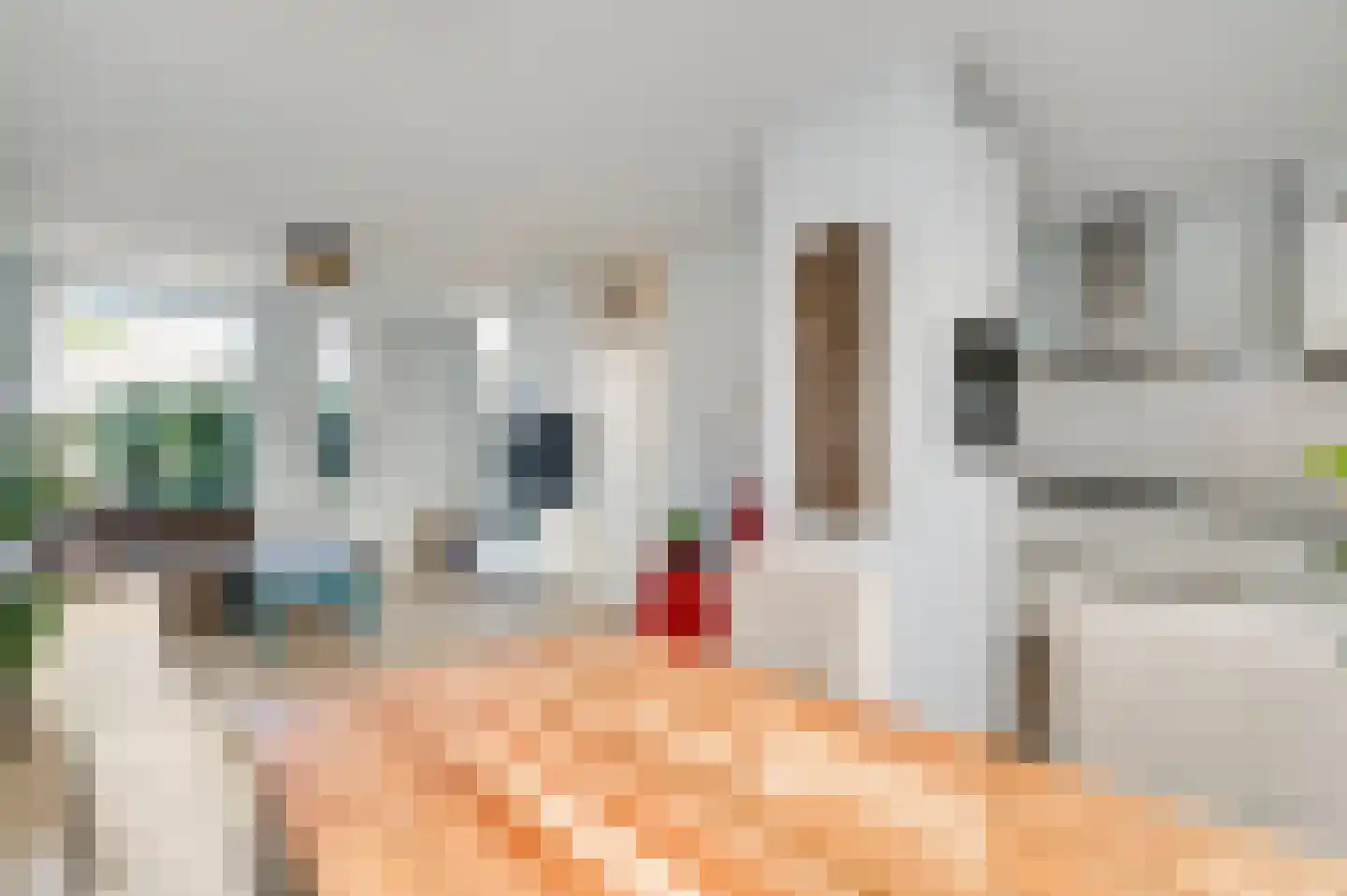Akkerstraat 3 Ittervoort thumbnail 11