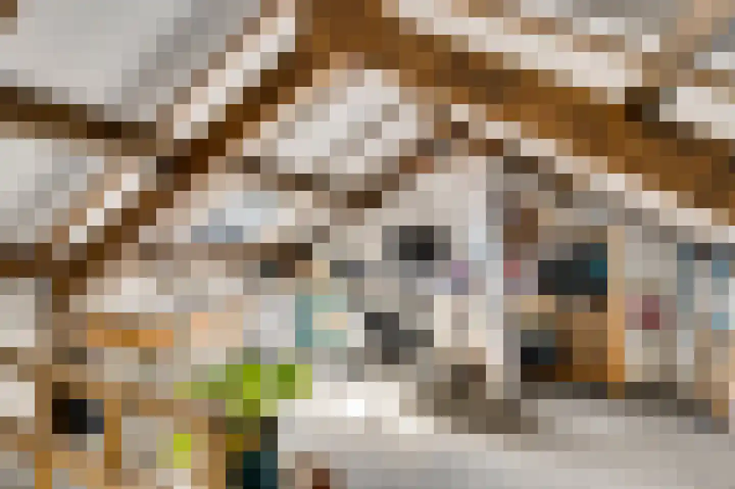 Akkerstraat 3 Ittervoort thumbnail 27
