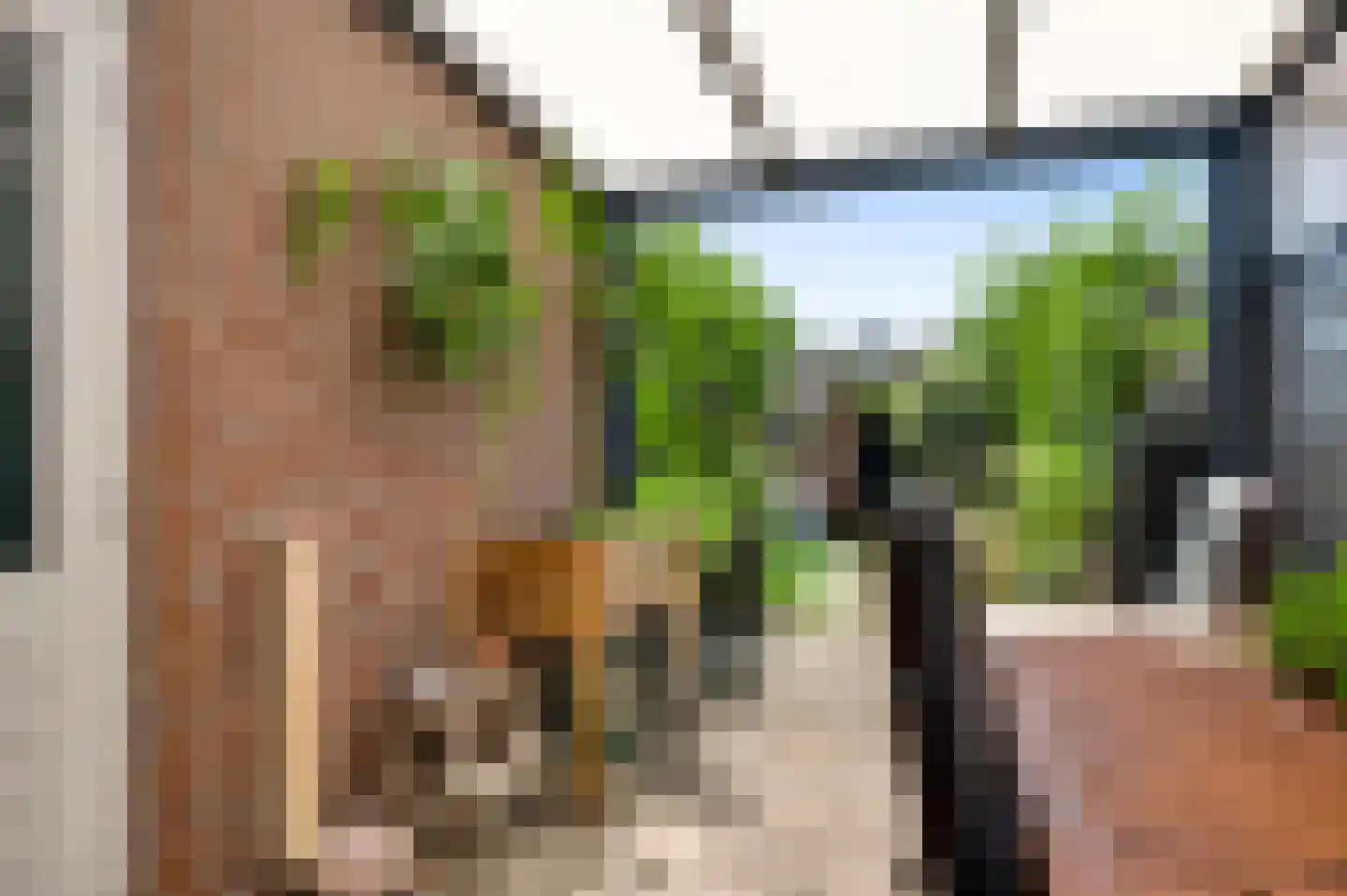 Akkerstraat 3 Ittervoort thumbnail 30