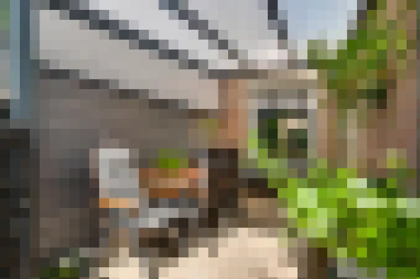 Akkerstraat 3 Ittervoort thumbnail 31