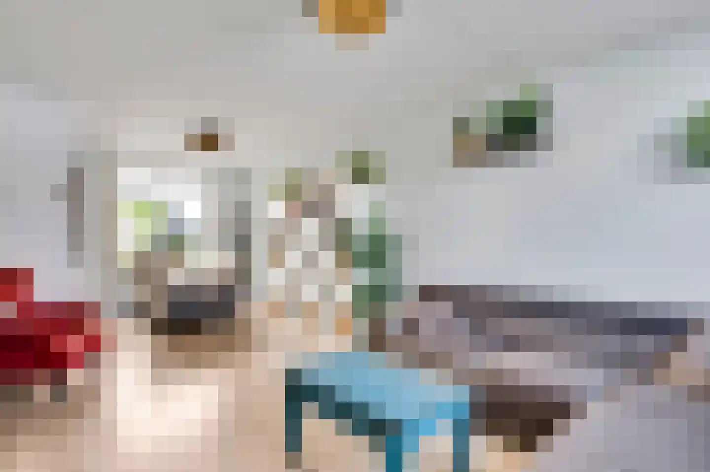 Akkerstraat 3 Ittervoort thumbnail 6