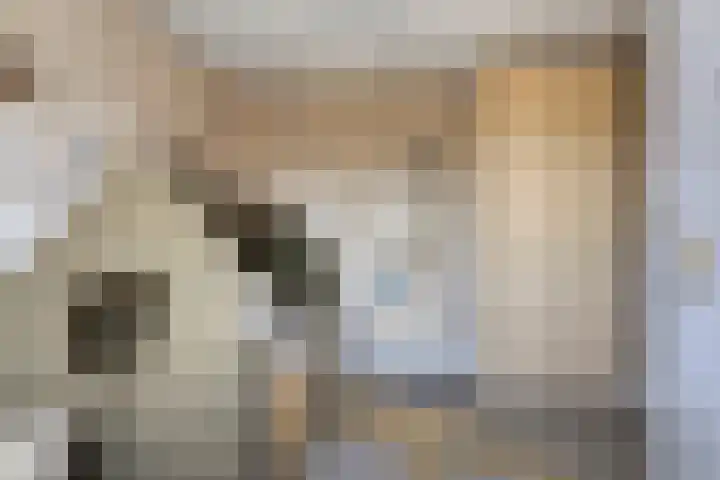 Akkerstraat 31 Haaren thumbnail 20