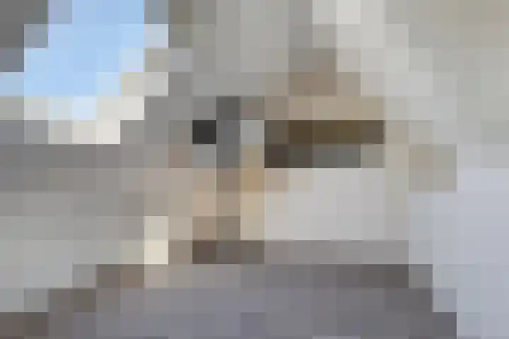 Akkerstraat 31 Haaren thumbnail 24
