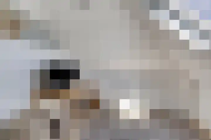 Akkerstraat 31 Haaren thumbnail 26