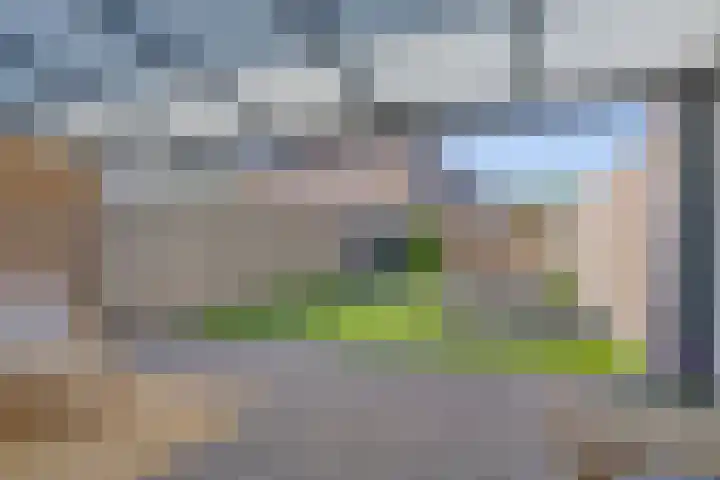 Akkerstraat 31 Haaren thumbnail 27