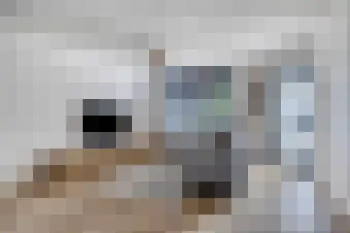 Akkerstraat 31 Haaren thumbnail 6