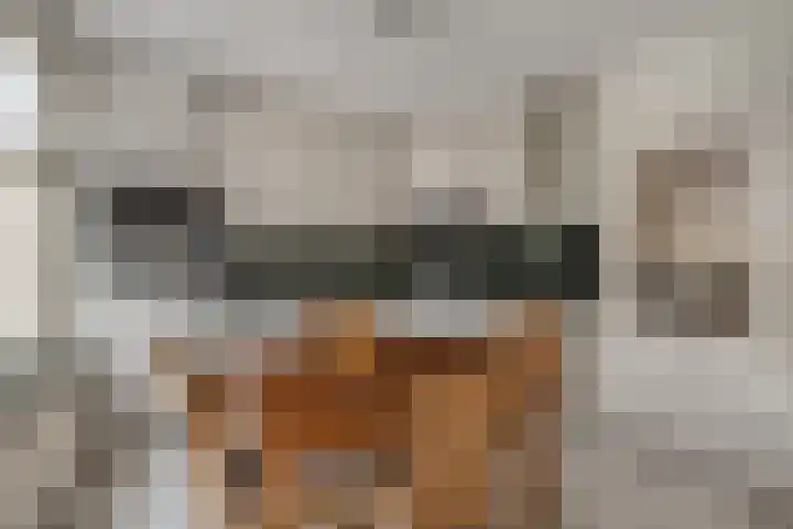 Akkerstraat 34 Den Dungen thumbnail 7