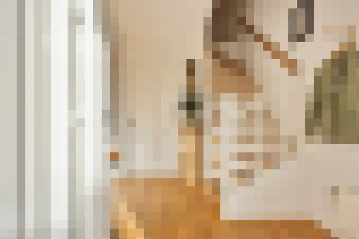 Akkerstraat 38 Waalre thumbnail 15