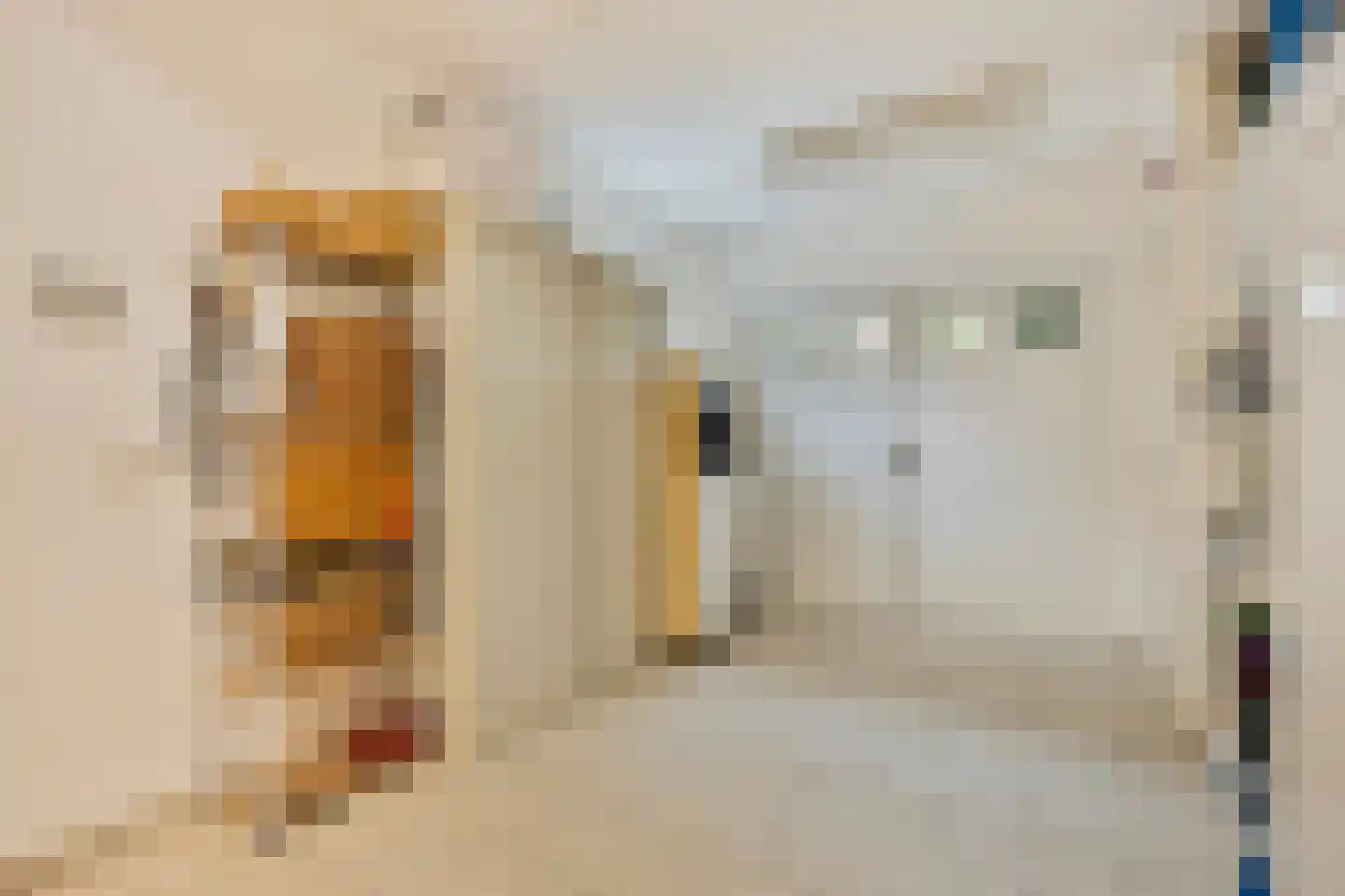 Akkerstraat 38 Waalre thumbnail 38