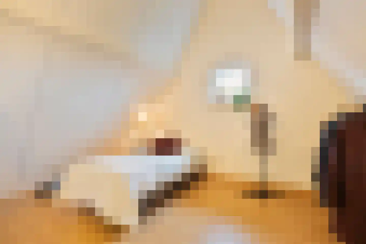 Akkerstraat 38 Waalre thumbnail 53