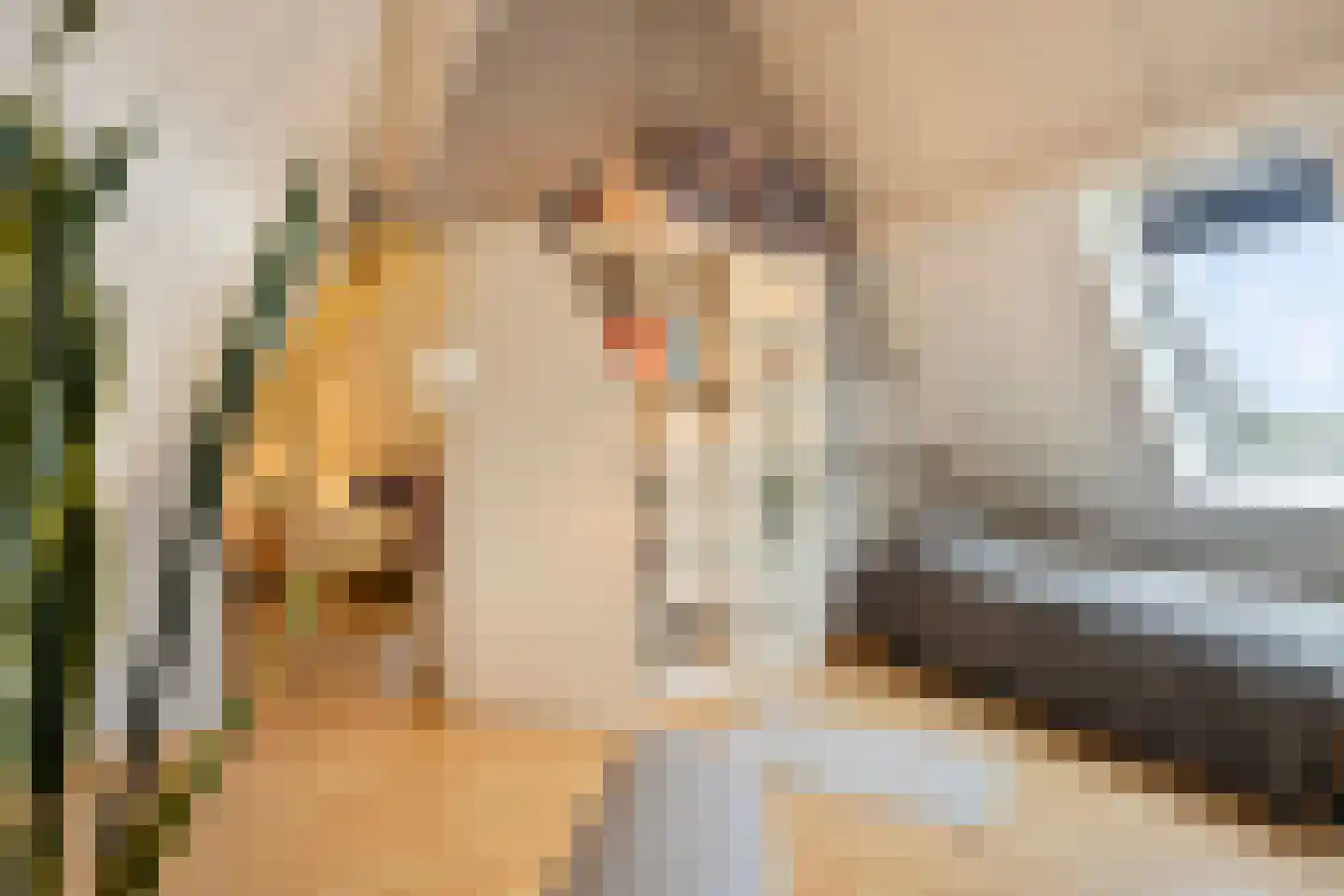 Akkerstraat 38 Waalre thumbnail 56