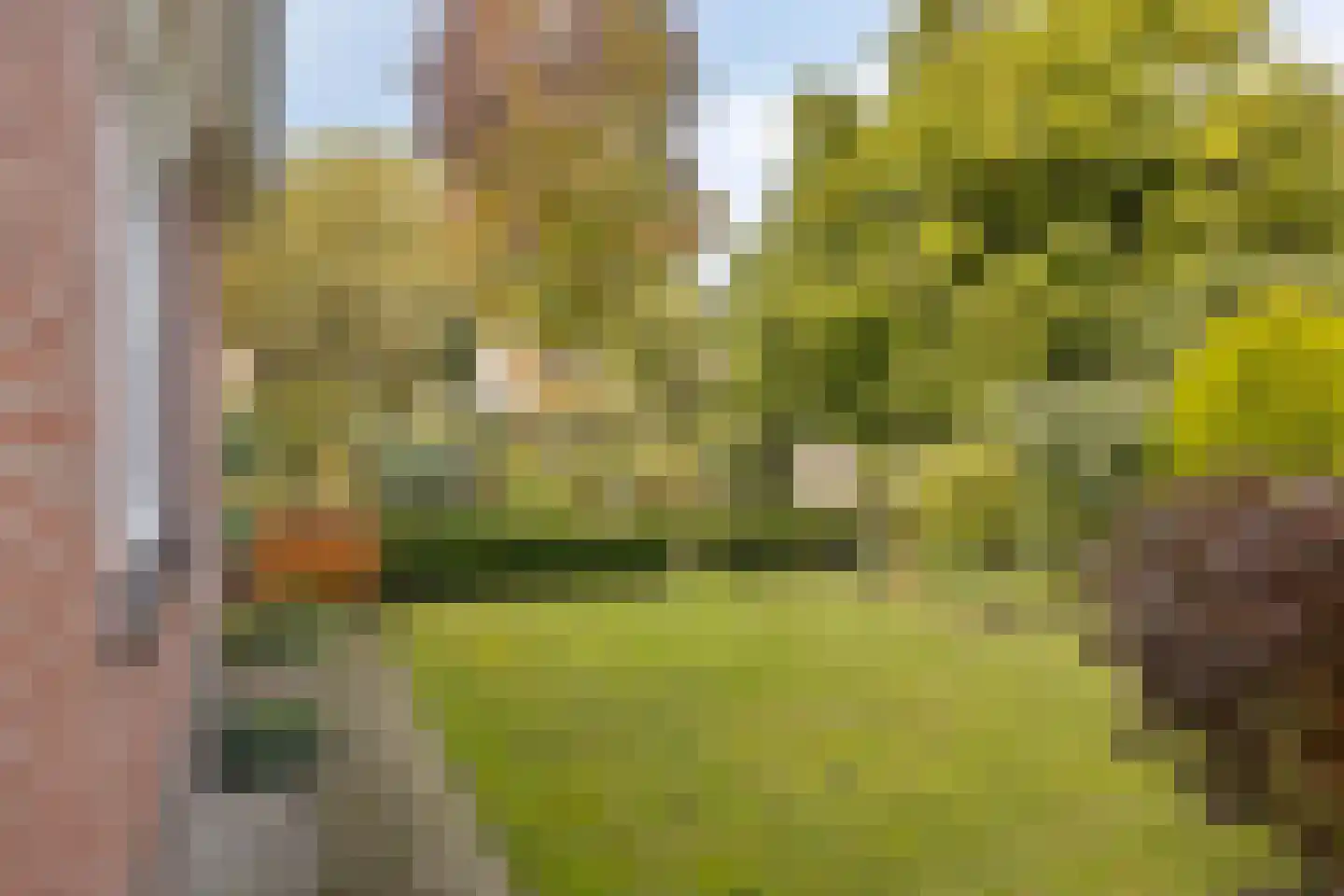 Akkerstraat 38 Waalre thumbnail 59