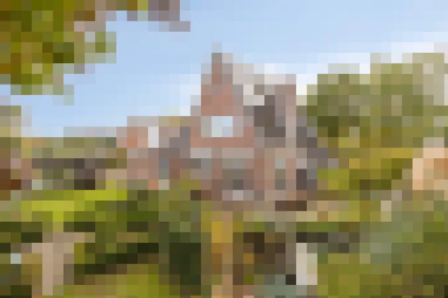 Akkerstraat 38 Waalre thumbnail 64