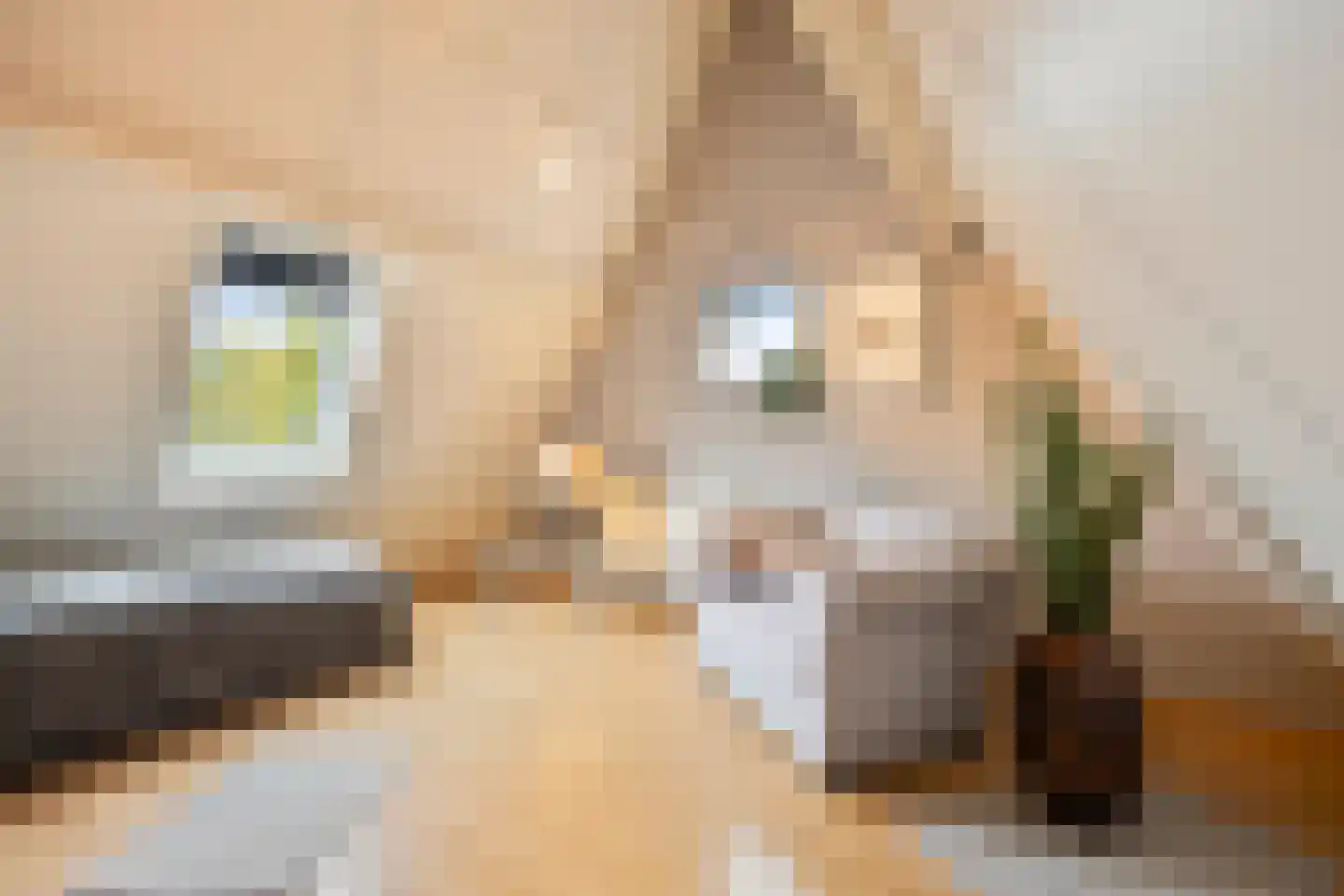 Akkerstraat 38 Waalre thumbnail 7