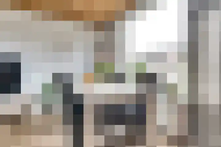 Akkerstraat 4 Dieren thumbnail 11