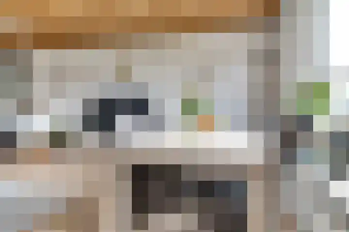 Akkerstraat 4 Dieren thumbnail 12