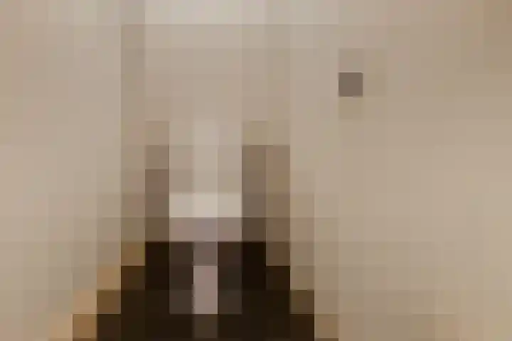 Akkerstraat 44 Ulft thumbnail 22