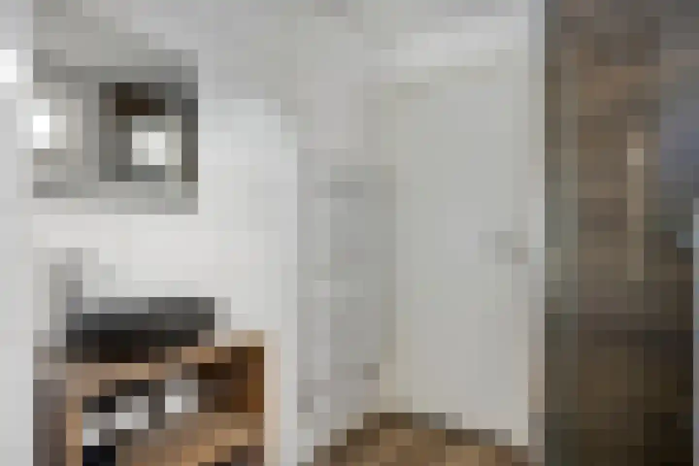 Akkerstraat 5 Tilburg thumbnail 10