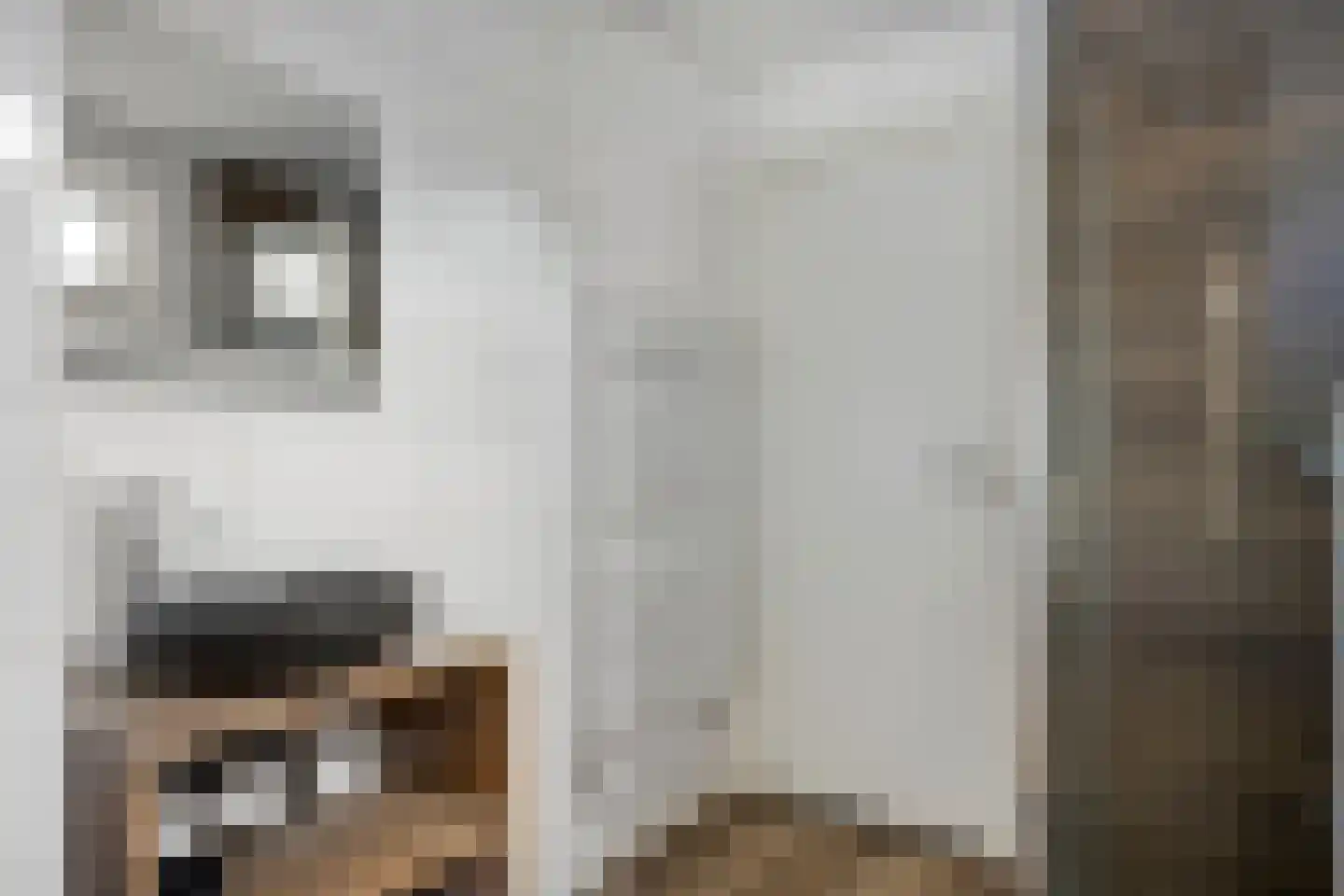 Akkerstraat 5 Tilburg thumbnail 10