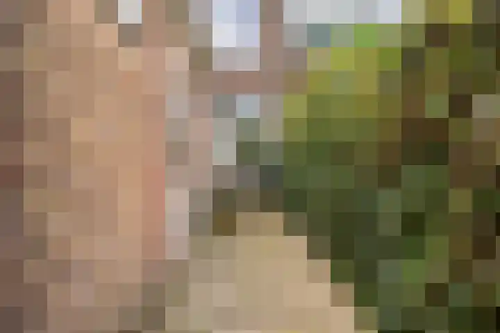 Akkerstraat 53 Tilburg thumbnail 37