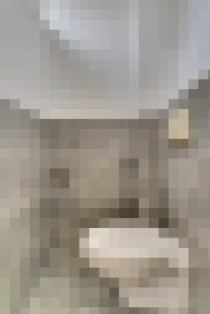 Akkerstraat 6 Dieren thumbnail 13