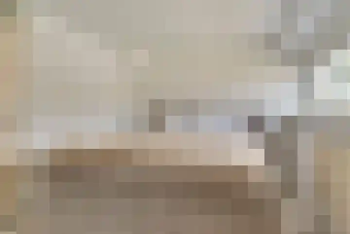 Akkerstraat 6 Dieren thumbnail 17