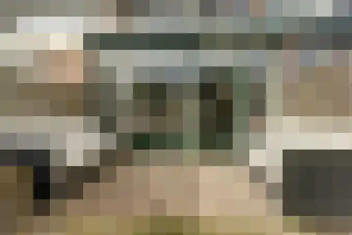 Akkerstraat 6 Dieren thumbnail 27