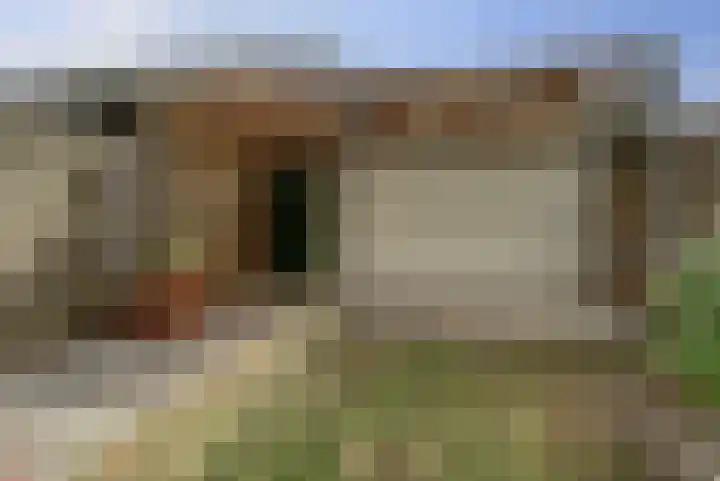 Akkerstraat 6 Dieren thumbnail 29