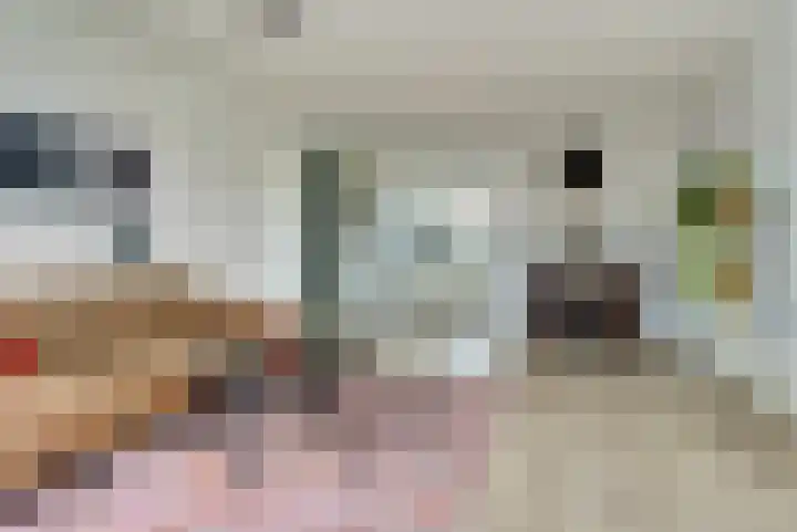 Akkerstraat 6 Dieren thumbnail 5