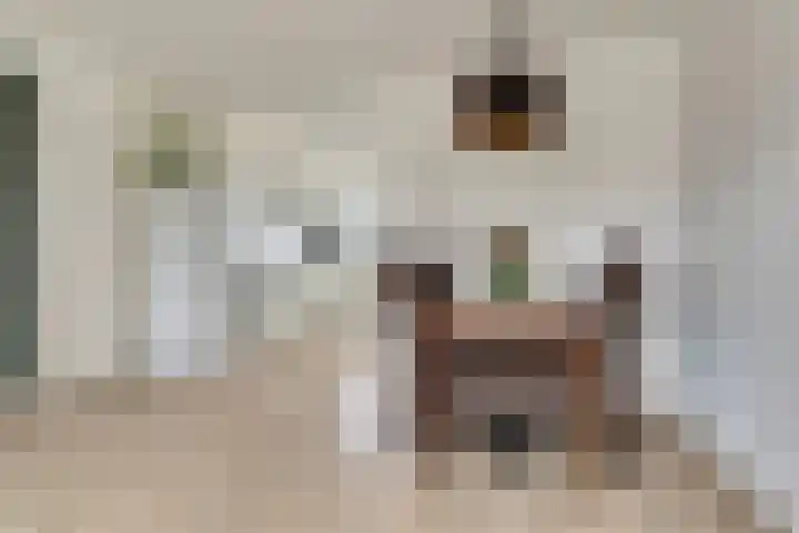 Akkerstraat 6 Dieren thumbnail 8