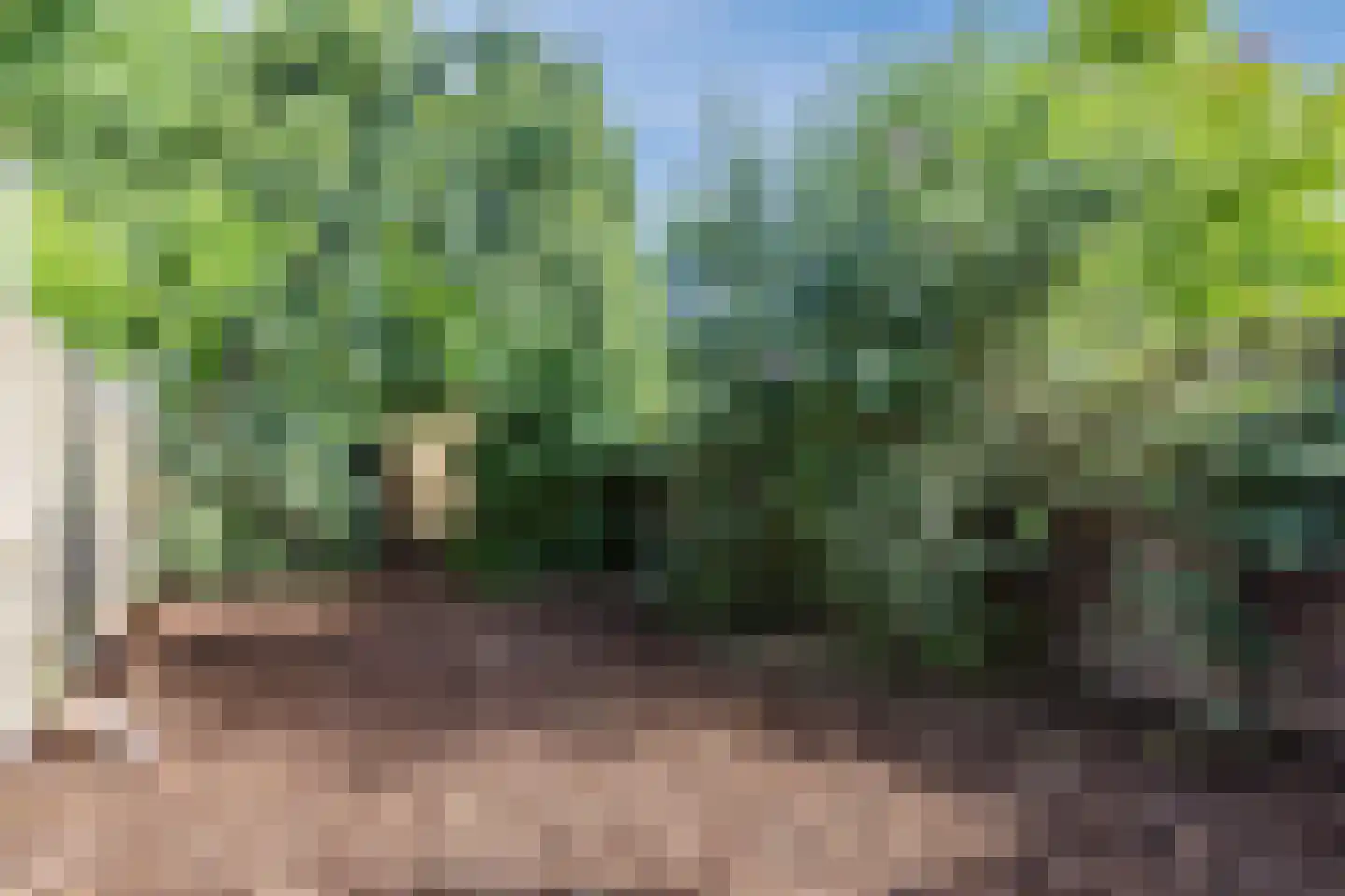 Akkerstraat 69 Tilburg thumbnail 31