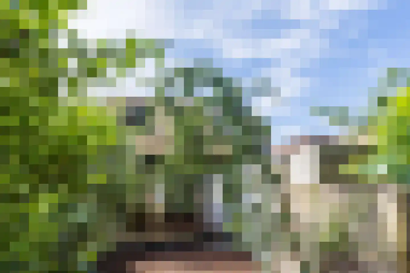 Akkerstraat 69 Tilburg thumbnail 34
