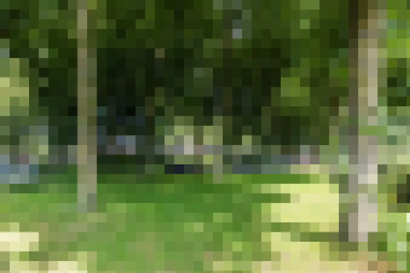 Akkerstraat 69 Tilburg thumbnail 41