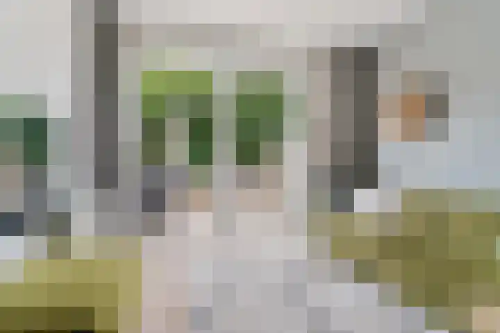 Akkerstraat 7 2 Arnhem thumbnail 9