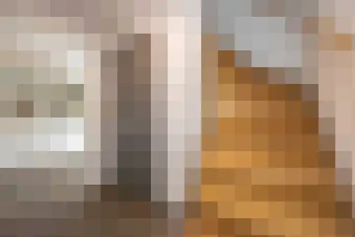 Akkerstraat 7 Haaren thumbnail 11
