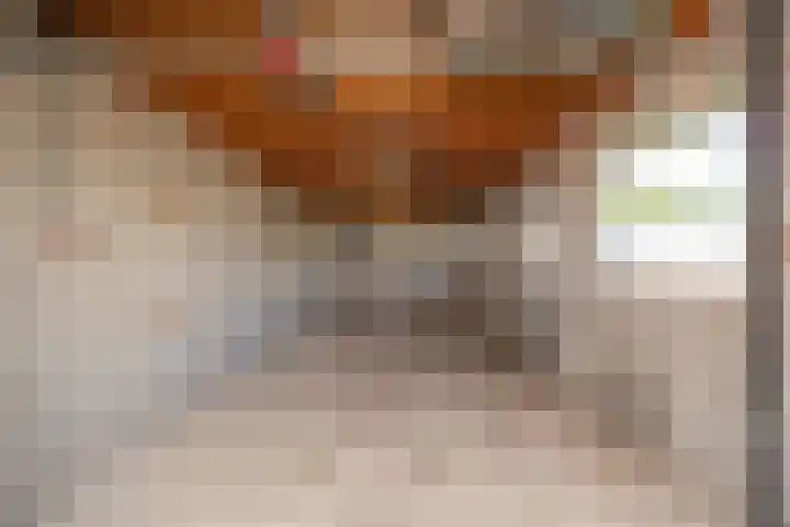 Akkerstraat 7 Haaren thumbnail 26