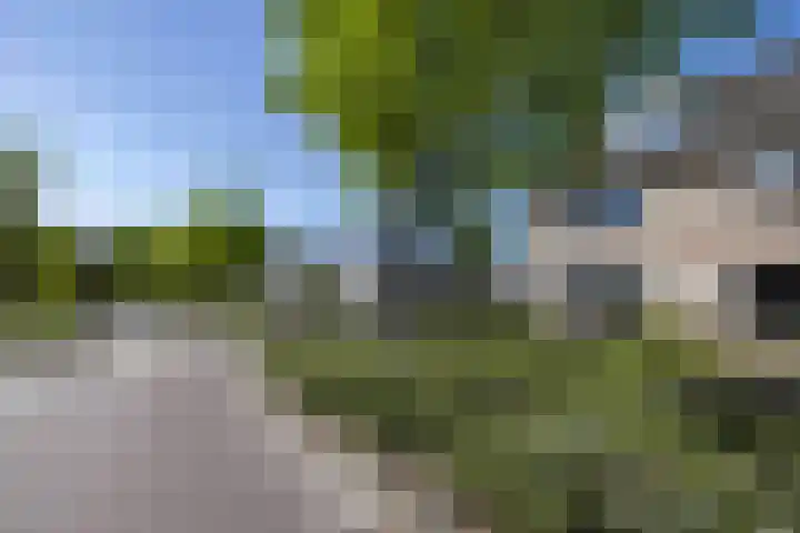 Akkerstraat 7 Haaren thumbnail 29