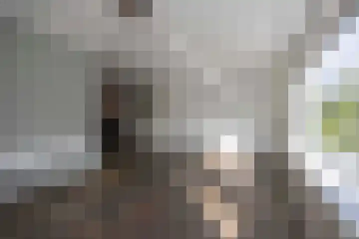 Akkerstraat 7 Haaren thumbnail 5