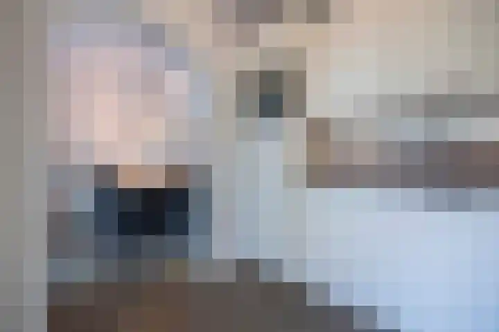 Akkerstraat 7 Haaren thumbnail 8
