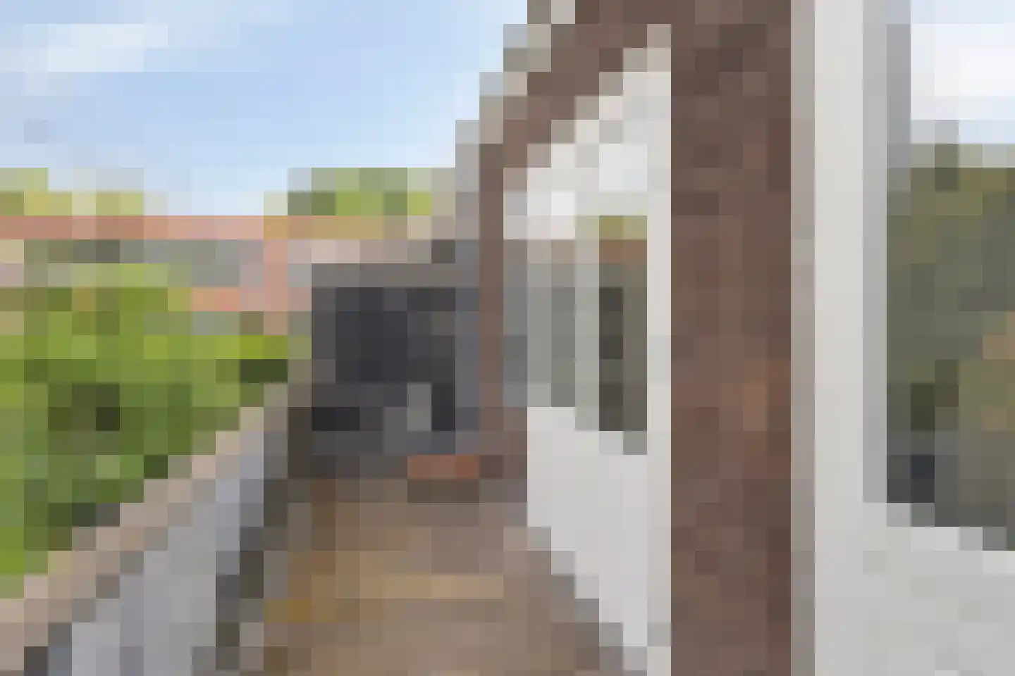 Akkerstraat 8 A Eindhoven thumbnail 22