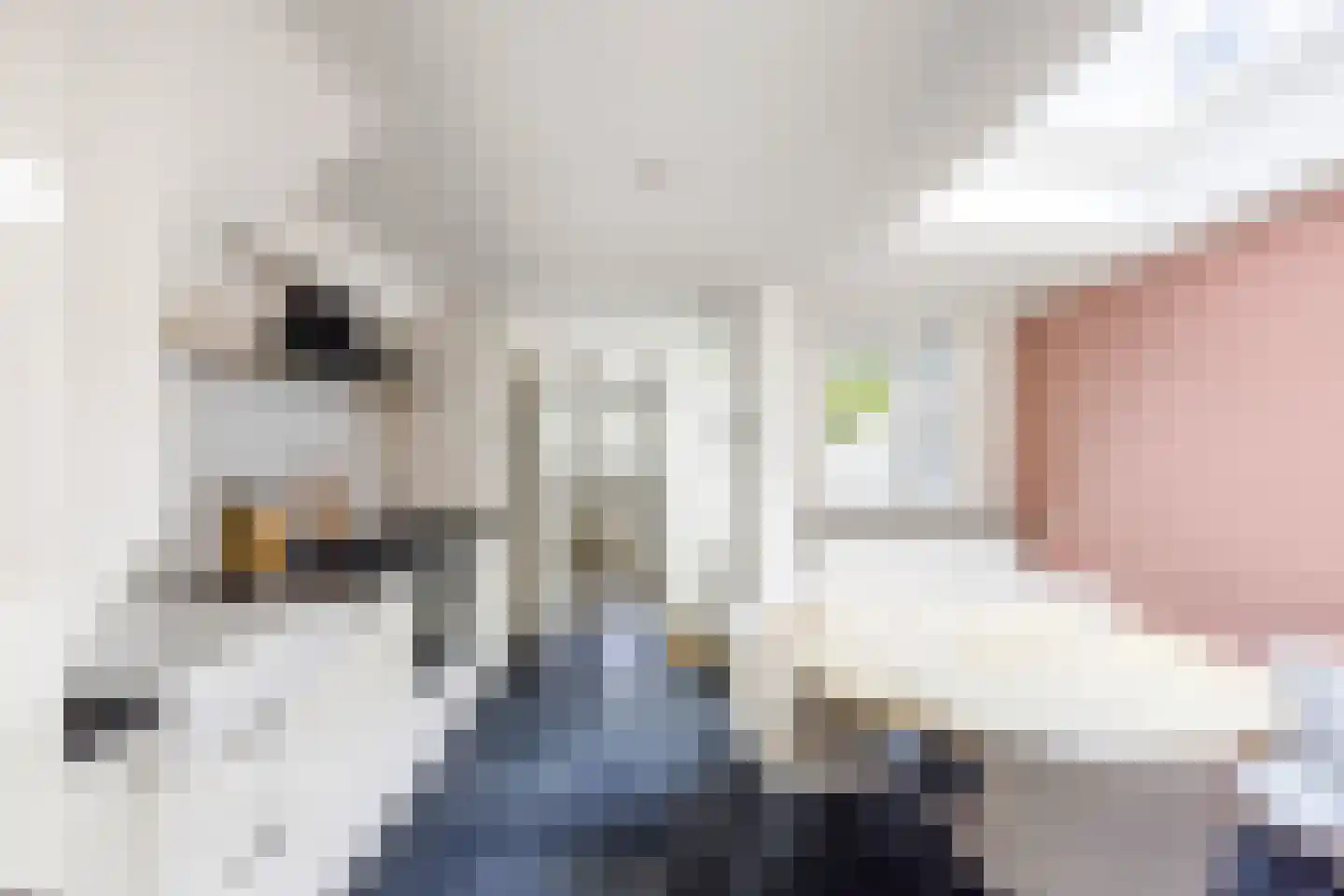 Akkerstraat 81 Tilburg thumbnail 20