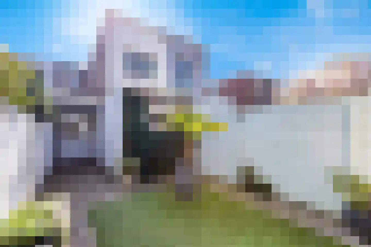 Akkerstraat 81 Tilburg thumbnail 46