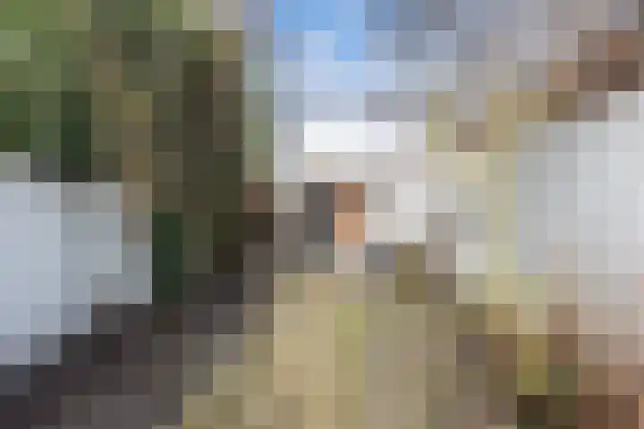 Akkerstraat 83 Tilburg thumbnail 37
