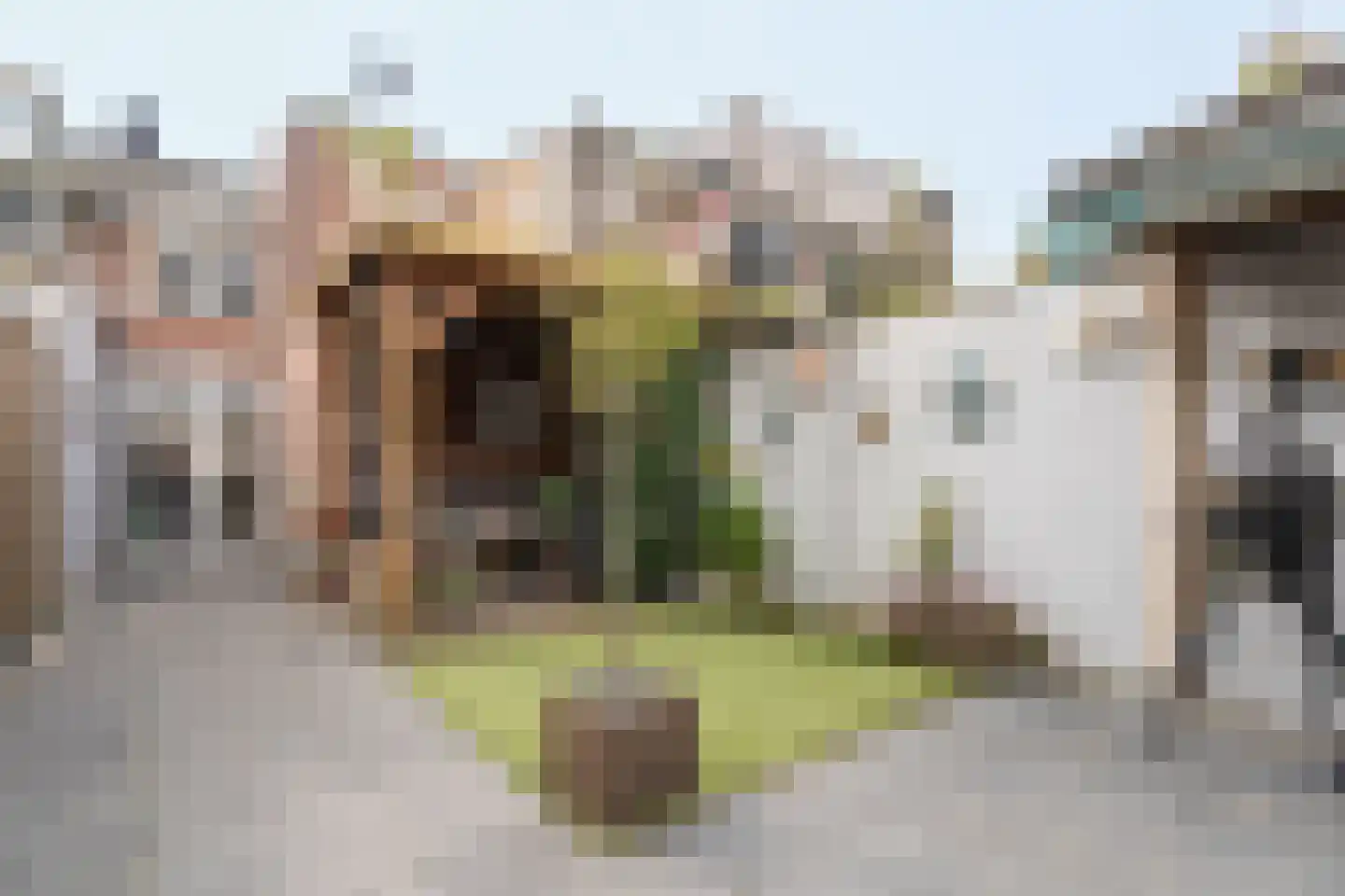 Akkerstraat 93 Tilburg thumbnail 20