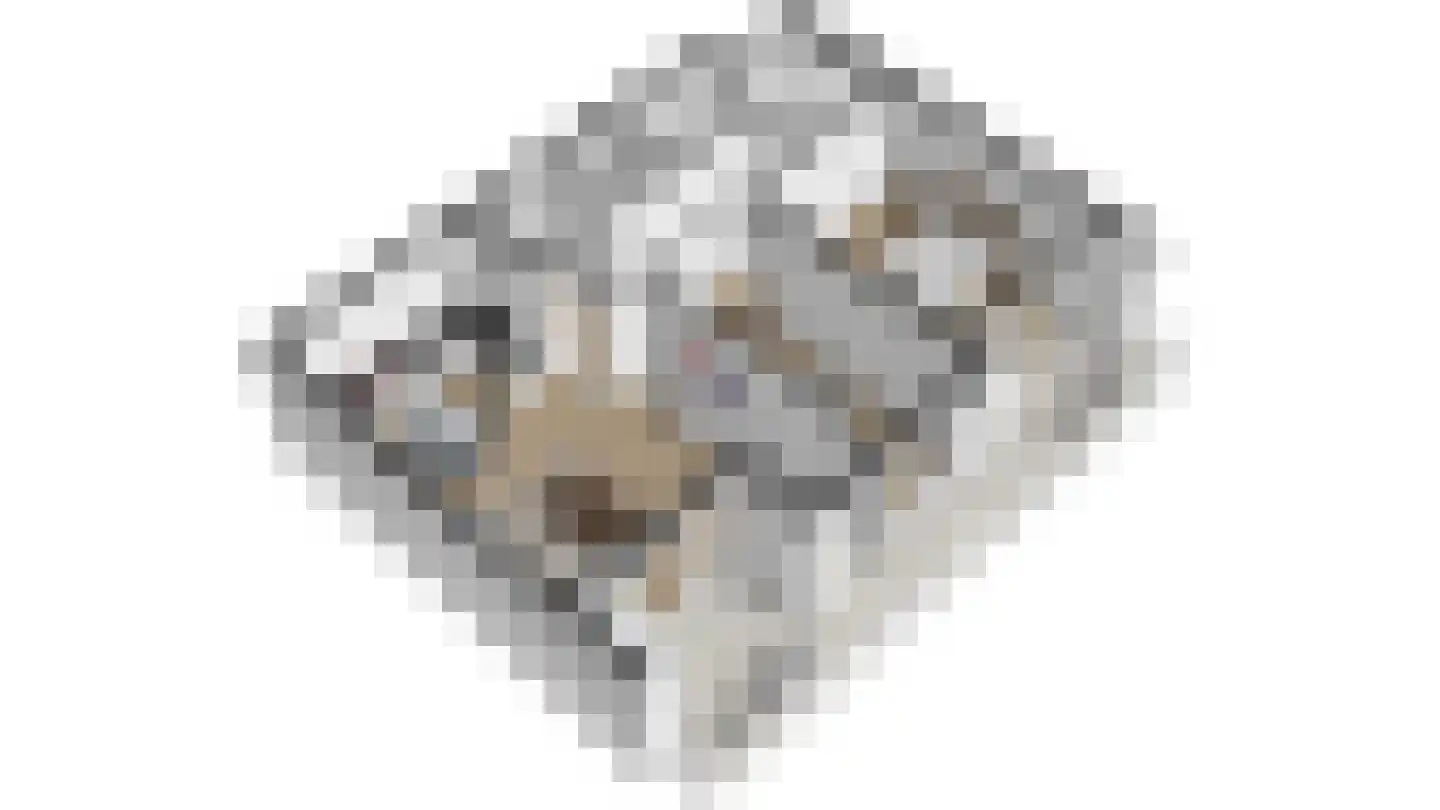 Akkerstraat 95 Breda thumbnail 35