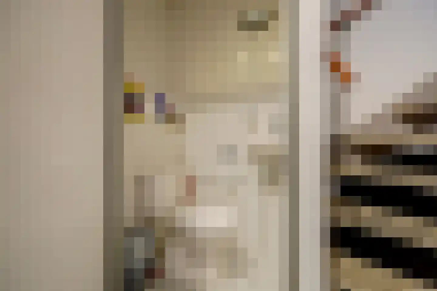 Akkersvoorde 7 Spijkenisse thumbnail 15