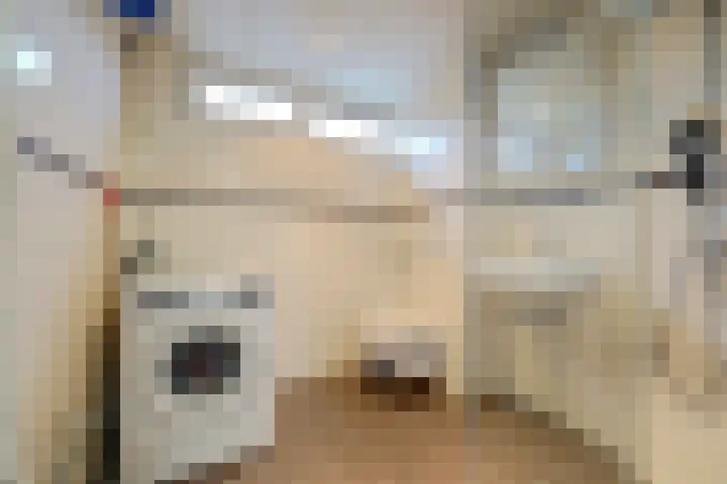 Akkersvoorde 7 Spijkenisse thumbnail 17