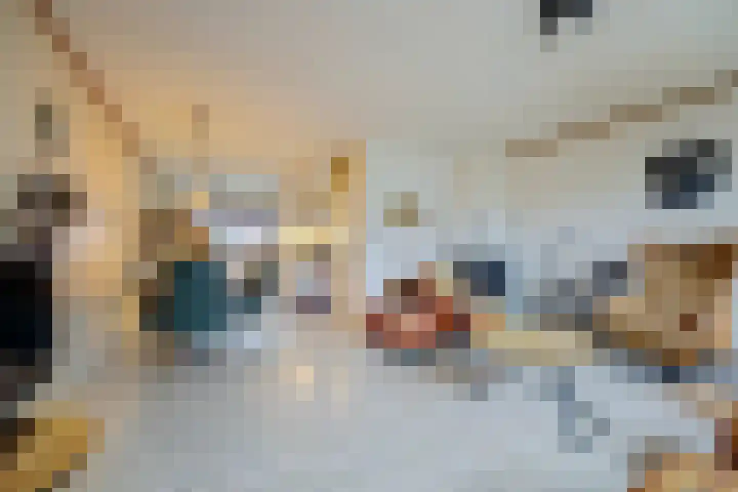 Akkersvoorde 7 Spijkenisse thumbnail 7